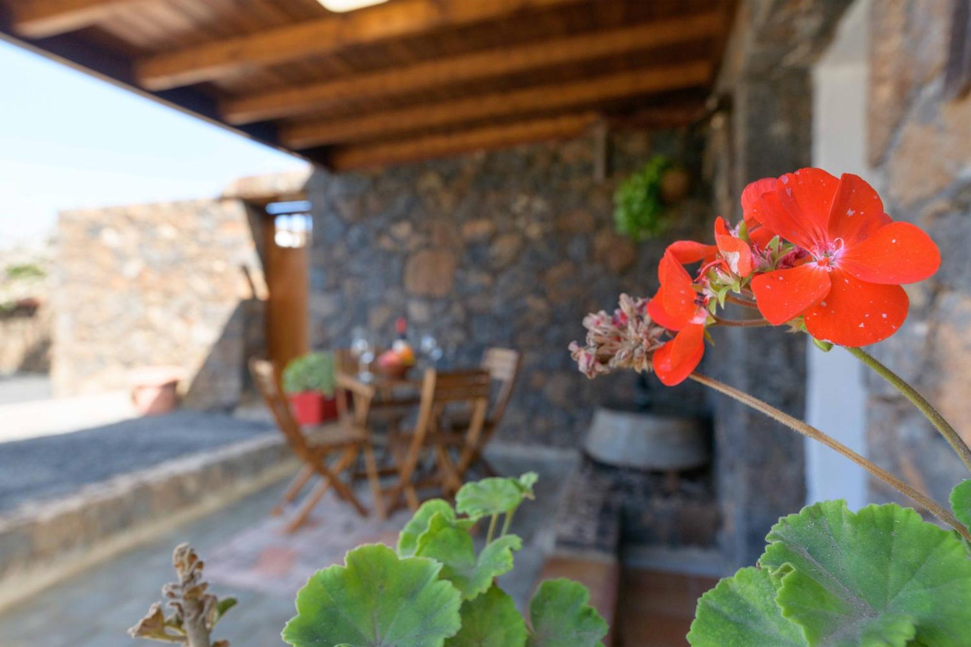 Apartamento Los 4 Nobles تيناجون المظهر الخارجي الصورة